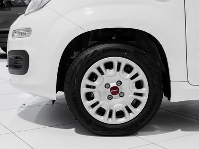 Fiat Qubo 1.3 Mjet 80 Cv Diesel Easy 5 Porte, Anno 2018, KM 1 - foto principale