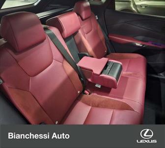 Lexus NX Plug in 4WD Luxury, KM 0 - foto principale