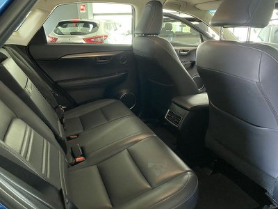 Lexus NX Hybrid 4WD Executive, Anno 2019, KM 122000 - foto principale