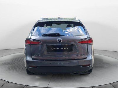 Lexus UX Hybrid Premium, Anno 2019, KM 91000 - foto principale