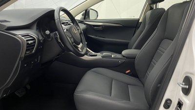 Lexus NX Plug in 4WD F Sport, KM 0 - foto principale